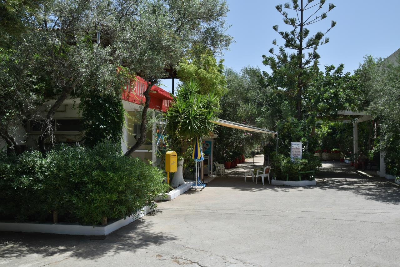 קאטו דרטסו Camping Chania מראה חיצוני תמונה