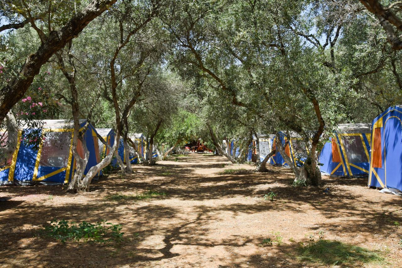 מלון קאטו דרטסו Camping Chania מראה חיצוני תמונה