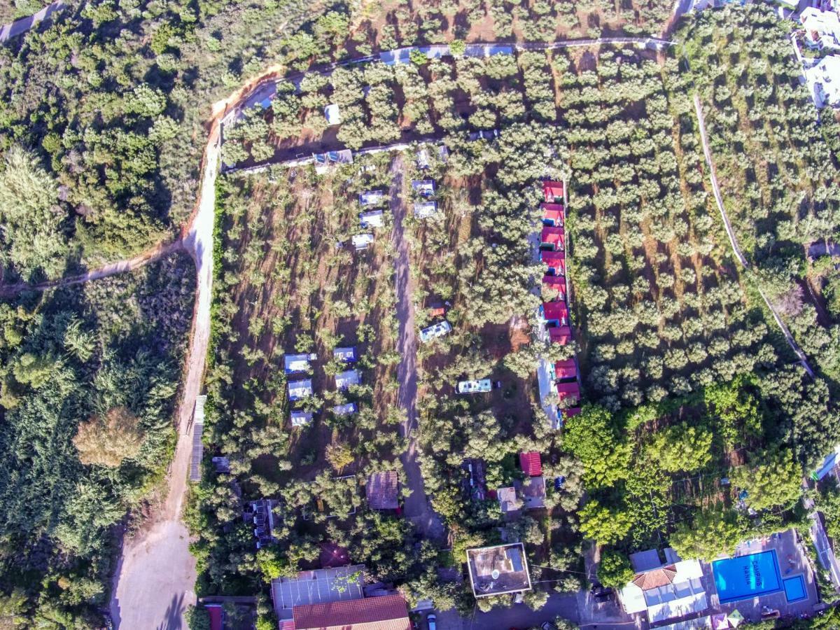 קאטו דרטסו Camping Chania מראה חיצוני תמונה
